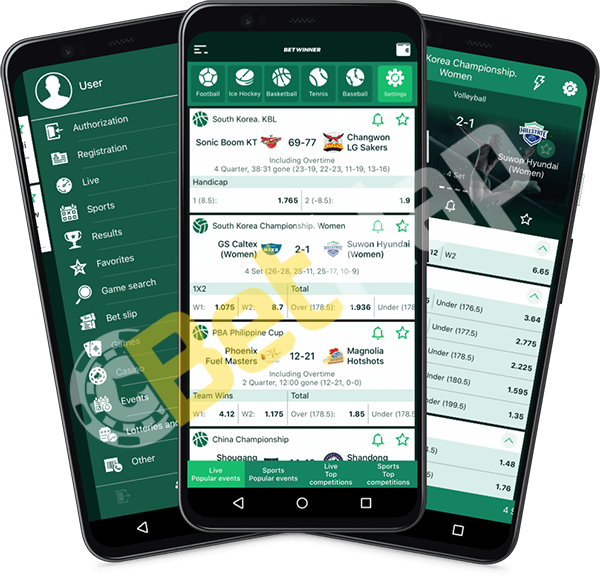 Découvrez Betwinner Madagascar votre plateforme de pari en ligne Découvrez Betwinner Madagascar votre plateforme de pari en ligne